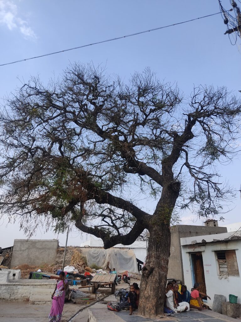 A typical sight in the village of people sitting under the tree